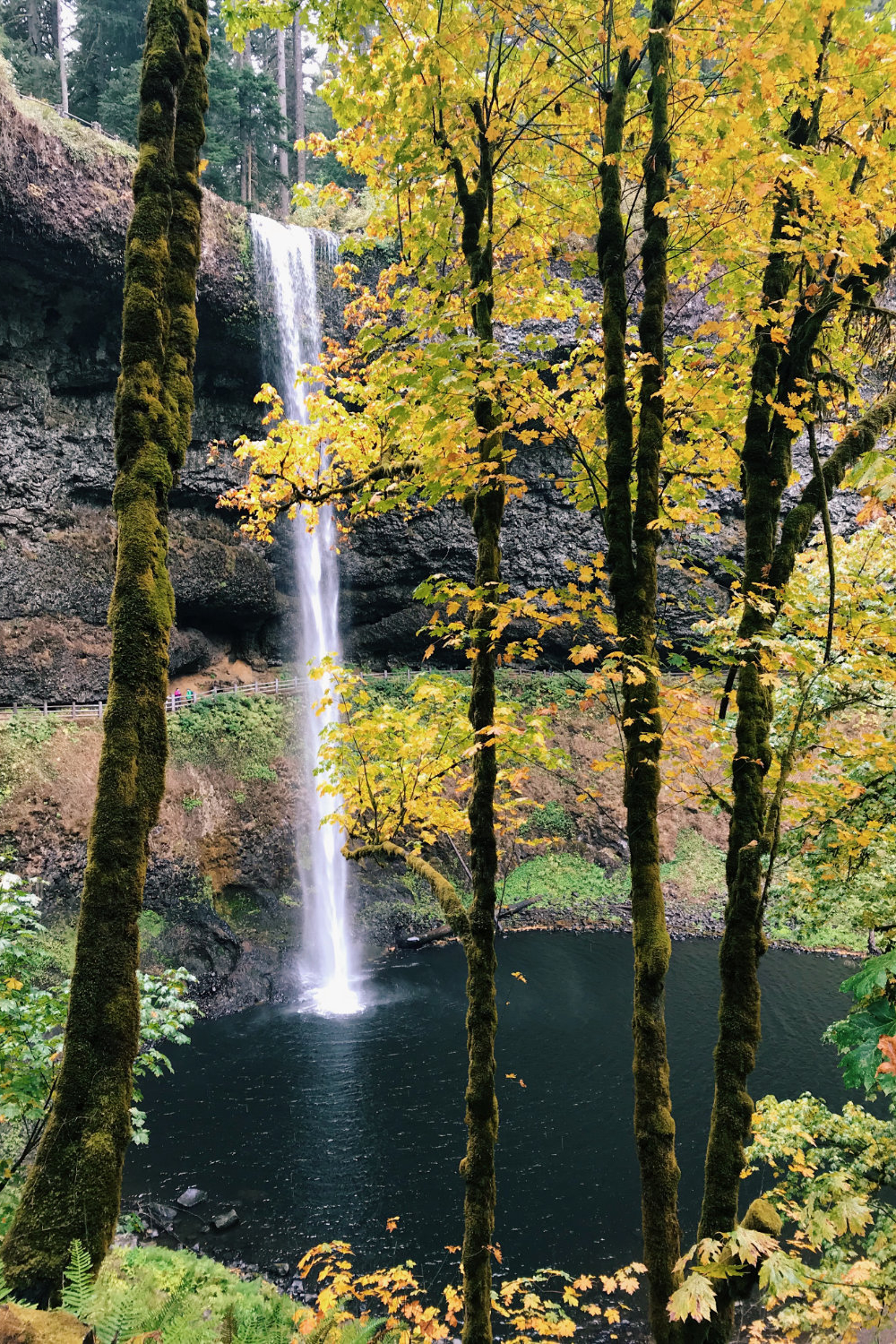 Silver Falls